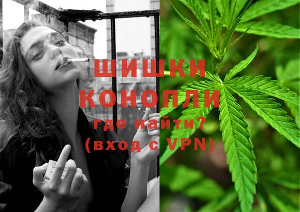 шишки Вяземский