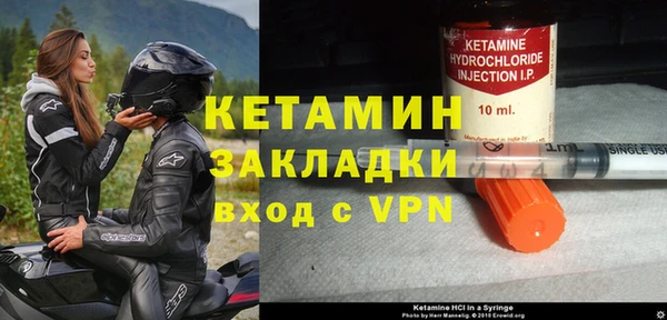 шишки Вяземский
