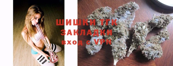 шишки Вяземский