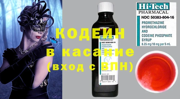 шишки Вяземский