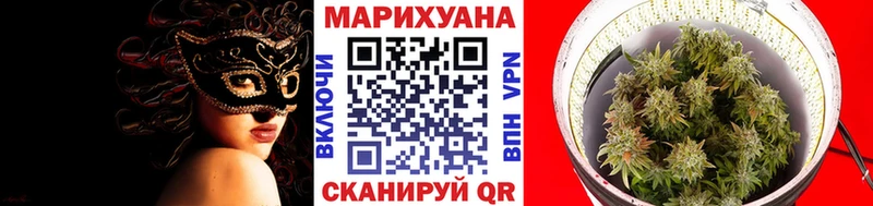 Купить где  Полярный  Шишки марихуана индика 